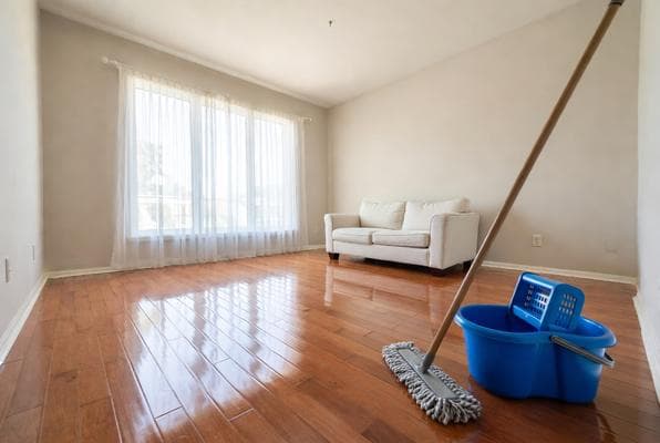 Freshly cleaned empty living room